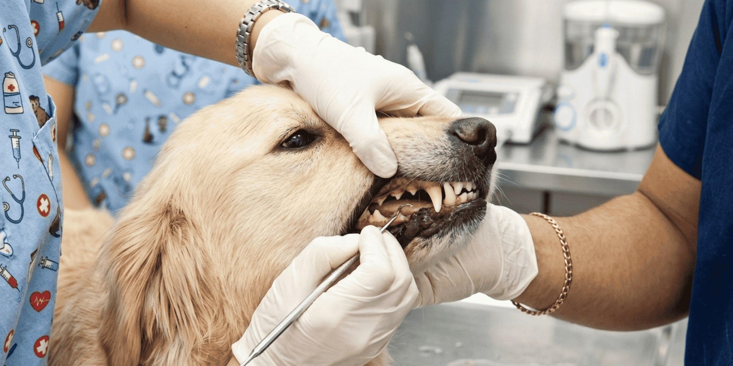 Dental care