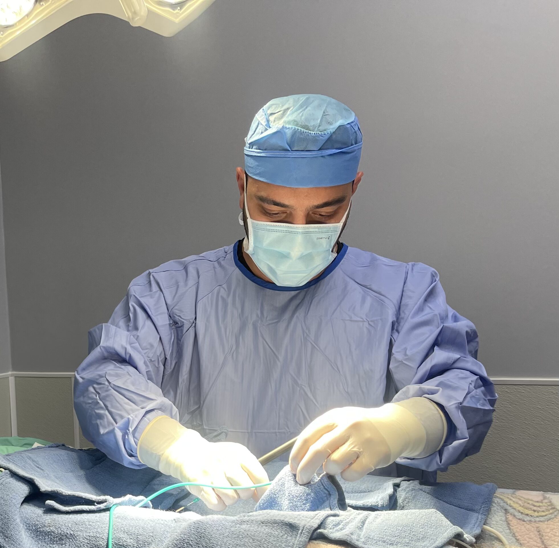 Pet surgery