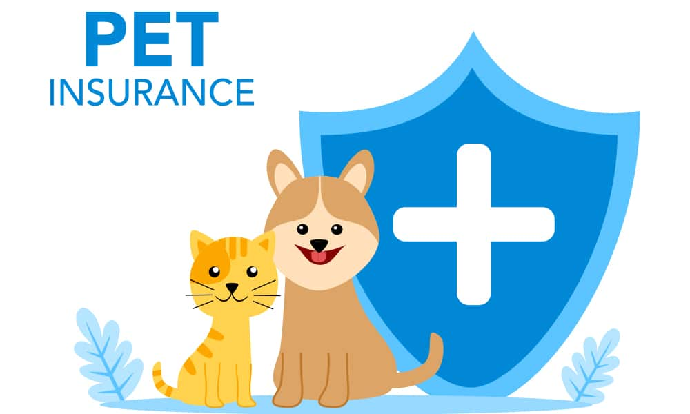 pet insurance in Encino